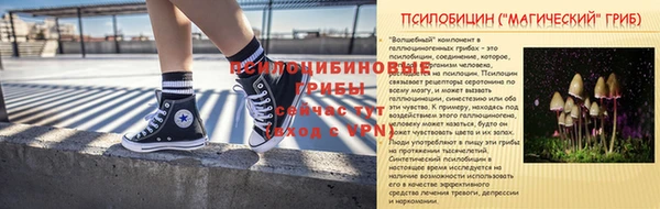шишки Волосово