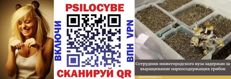 Галлюциногенные грибы Magic Shrooms  дарнет шоп  даркнет Telegram  Липецк 